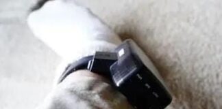 A scăpat de arest, dar s-a ales cu brățară de monitorizare