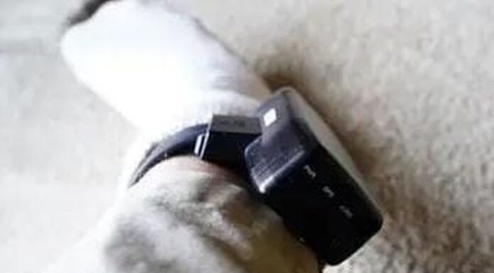 S-a ales cu brățară de monitorizare, după ce și-a bătut familia