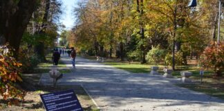 Fonduri europene pentru reamenajarea Grădinii Publice din Târgu Jiu