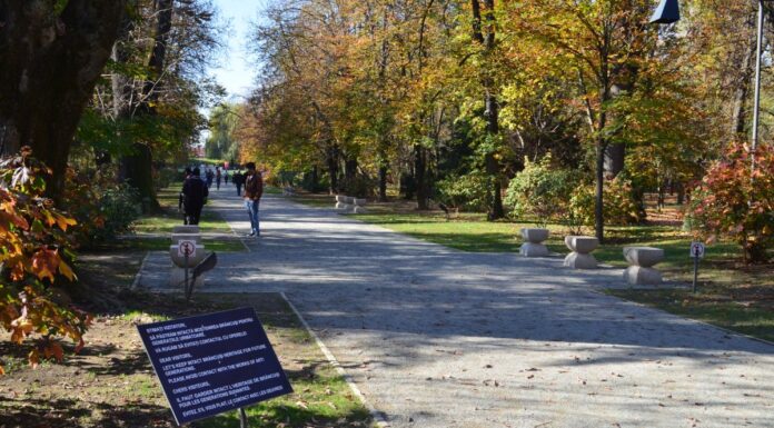 Fonduri europene pentru reamenajarea Grădinii Publice din Târgu Jiu