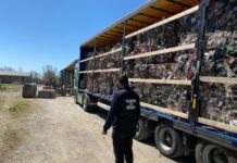 Transport ilegal de deșeuri depistat la Drăguțești