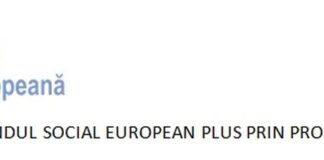 E-Skill – Abilități digitale pentru piața muncii – COD SMIS 334321