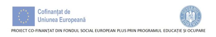 E-Skill – Abilități digitale pentru piața muncii – COD SMIS 334321