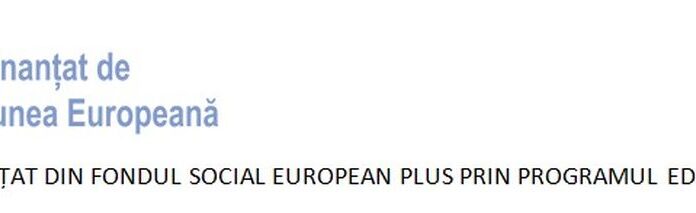 E-Skill – Abilități digitale pentru piața muncii – COD SMIS 334321