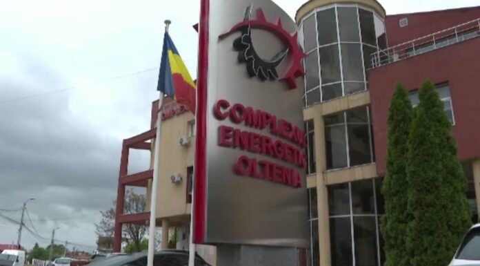 CEO, cu mai puțini șefi în CS și Directorat. Noi reguli pentru companiile de stat