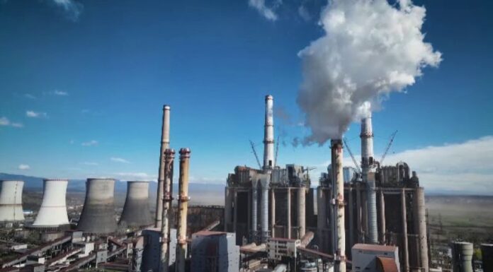 Aproape jumătate de milion de lei pentru RUPEREA CEO