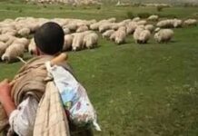 Cioban trimis în judecată pentru tentativă de omor