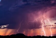 Cod galben de furtuni