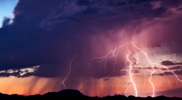 Cod galben de furtuni