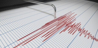 Cutremur în Gorj