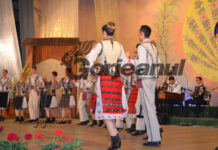 Concurs pentru un post de violist la ”Doina Gorjului”