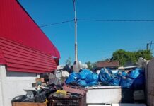 Mai multe amenzi de la comisarii de mediu în Gorj