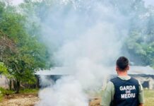 Oierii din Lelești au ars lâna pe câmp. Au primit amendă