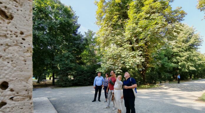 Gorjul, promovat în Franța