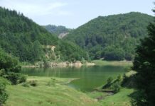 ATITUDINI – „Grătariada” în desfășurare