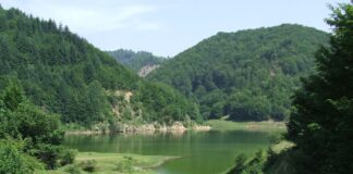 ATITUDINI – „Grătariada” în desfășurare