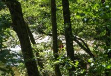 Peripluri estivale – Din nou, prin fascinanta lume a celor două Jiuri