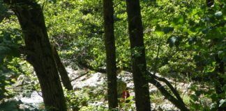 Peripluri estivale – Din nou, prin fascinanta lume a celor două Jiuri