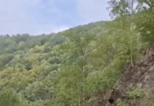 Lucrări în Defileul Jiului!