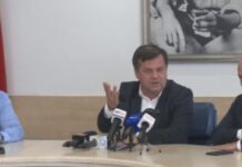 Motivul pentru care au fost tăiați brazii de la Colegiul ,,Tudor Vladimirescu”. Explicațiile primarului Romanescu