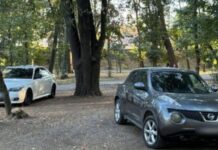 Au intrat cu mașinile în Parcul Central din Târgu Jiu. Amendă de 500 de lei!