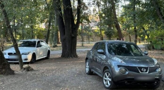 Au intrat cu mașinile în Parcul Central din Târgu Jiu. Amendă de 500 de lei!