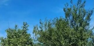 Rampă clandestină de deșeuri în Târgu Jiu