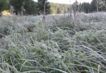 Noapte rece în zona montană a Gorjului!