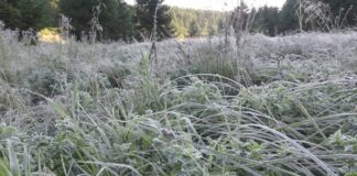 Noapte rece în zona montană a Gorjului!