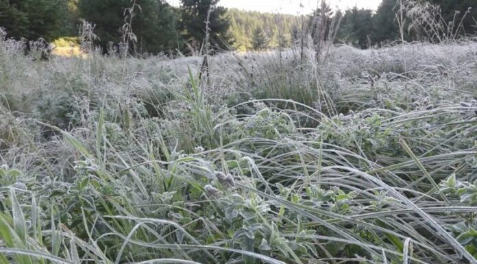 Noapte rece în zona montană a Gorjului!