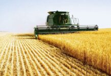 Agricultura pe înțelesul tuturor – Calendarul lucrărilor agricole în luna august