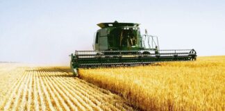 Agricultura pe înțelesul tuturor – Calendarul lucrărilor agricole în luna august
