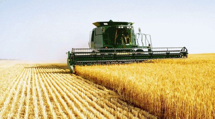 Agricultura pe înțelesul tuturor – Calendarul lucrărilor agricole în luna august