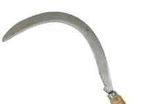 Reținut după ce și-a lovit soția cu secera