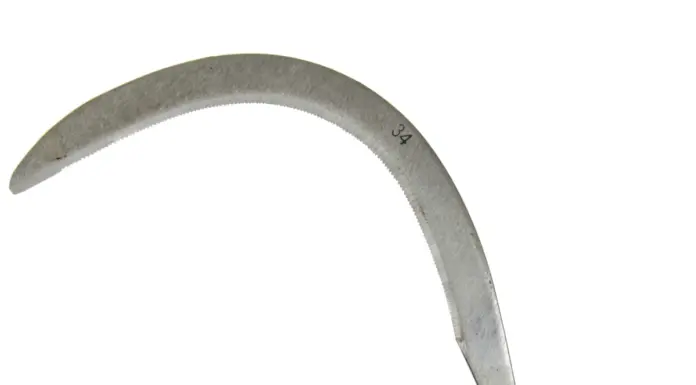 Reținut după ce și-a lovit soția cu secera