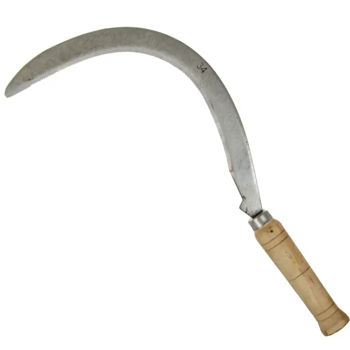 Reținut după ce și-a lovit soția cu secera