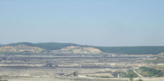 CE Oltenia închiriază zeci de autovehicule de transport marfă. Contract de peste 5 milioane lei