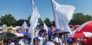 Profesorii strâng semnături pentru a bloca austeritatea în școli