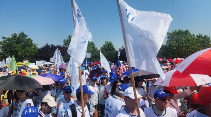 Profesorii strâng semnături pentru a bloca austeritatea în școli