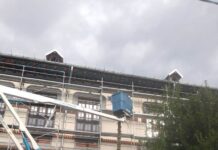 Edilitara explică tăierea arborilor din zona Colegiului „Tudor Vladimirescu”: intervenție legală, pentru siguranța publică