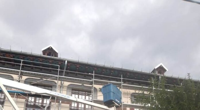 Edilitara explică tăierea arborilor din zona Colegiului „Tudor Vladimirescu”: intervenție legală, pentru siguranța publică