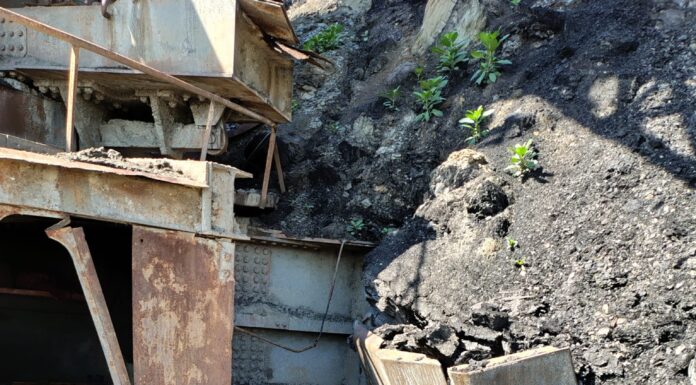 Liderul FNM: Un an de la catastrofa minieră de la Pinoasa!