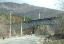 Astenii de toamnă – RHABON AUTUMNAL