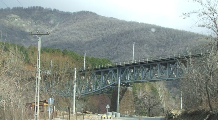 Astenii de toamnă – RHABON AUTUMNAL