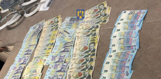 Rețineri după percheziții