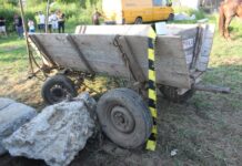 Sute de animale salvate și peste zece mii de controale: Poliția Protecției Animalelor, în acțiune