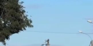 Tragedie în Gorj, în ziua fără victime pe șoselele Europei