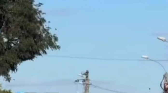 Tragedie în Gorj, în ziua fără victime pe șoselele Europei