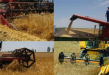 Agricultura pe înțelesul tuturor – Înființarea culturilor de toamnă