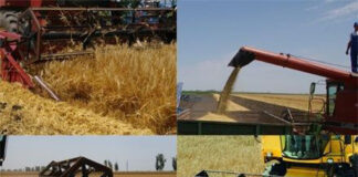 Agricultura pe înțelesul tuturor – Înființarea culturilor de toamnă